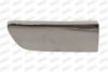 PRASCO PG2021245 Trim/Protective Strip, bumper